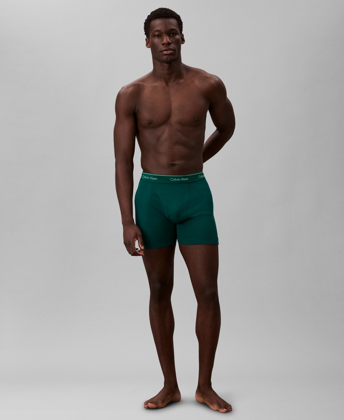 Calvin Klein Men's 6-pack Classic Cotton Boxer Bries In Multi