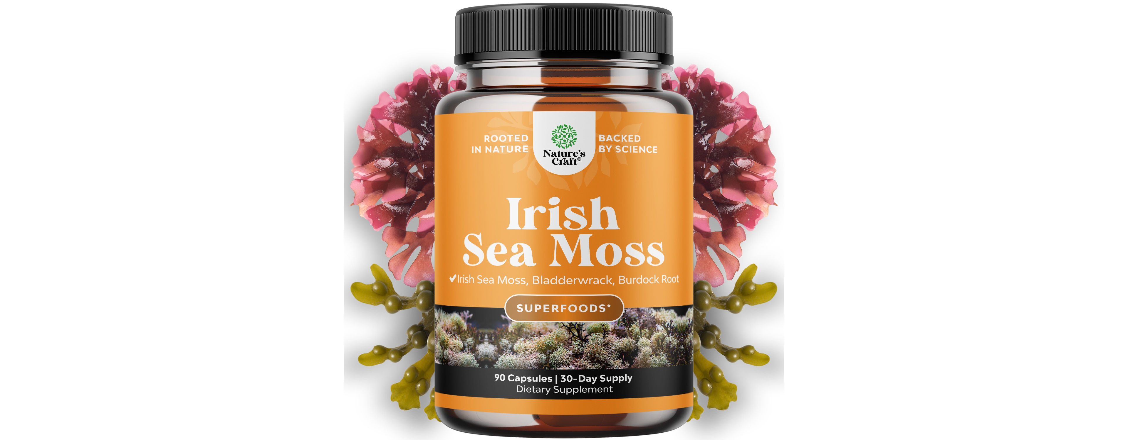 Nature's Craft Organic Irish Sea Moss Capsules, Nature's Craft, Sea Moss and Bladderwrack, 90 Capsules