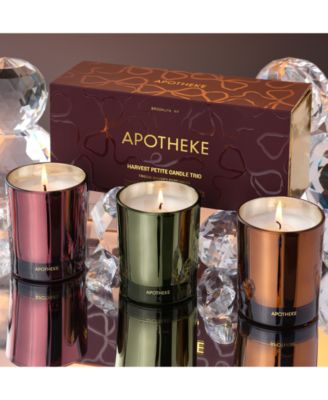 3-Pc. Harvest Petite Scented Candle Gift Set