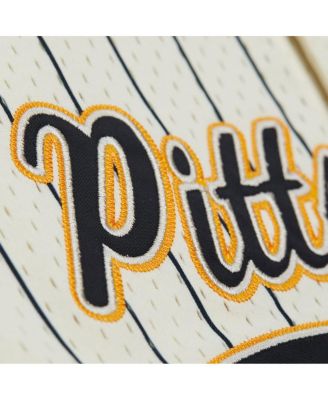 Men's Troy Polamalu Cream Pittsburgh Steelers Name Number Mesh Button-Up Baseball Jersey