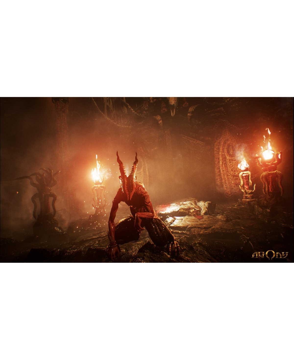 Maximum Games Agony