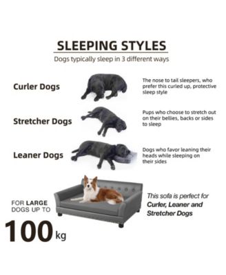 XL Spacious Pet Bed Dog Cat Sofa Couch Cushion Puppy Lounge Anti Scratch/Wear