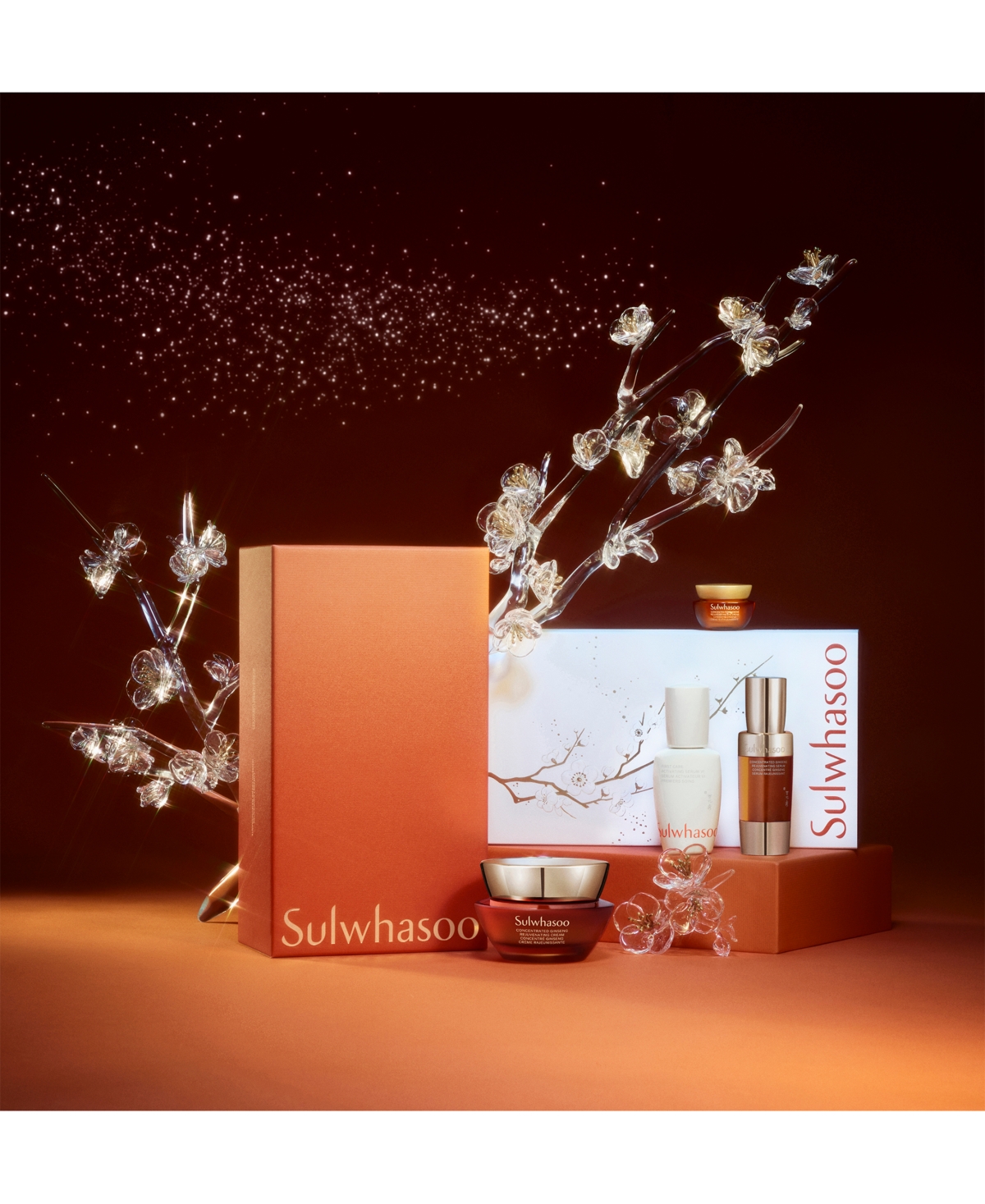 Sulwhasoo 4-pc. Concentrated Ginseng Rejuvenating Cream Set In Transparent