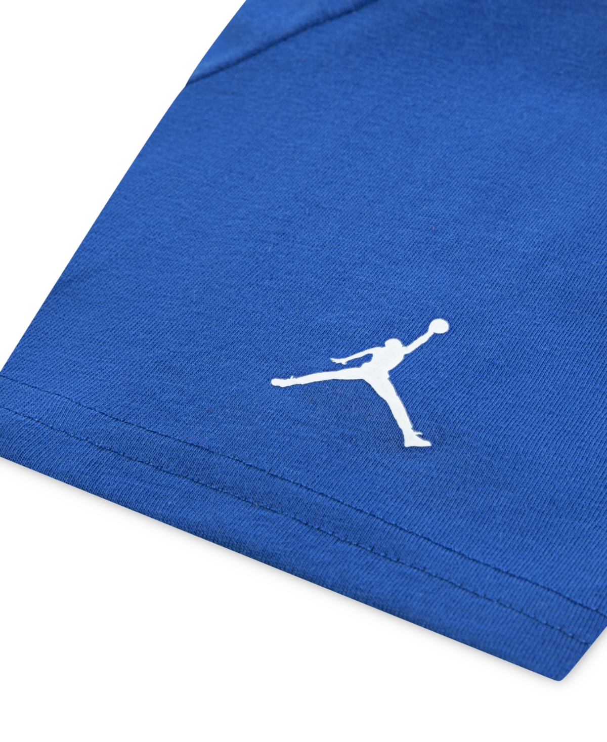 Jordan Toddler And Little Boys Flight Goat Print T-shirt In Blue