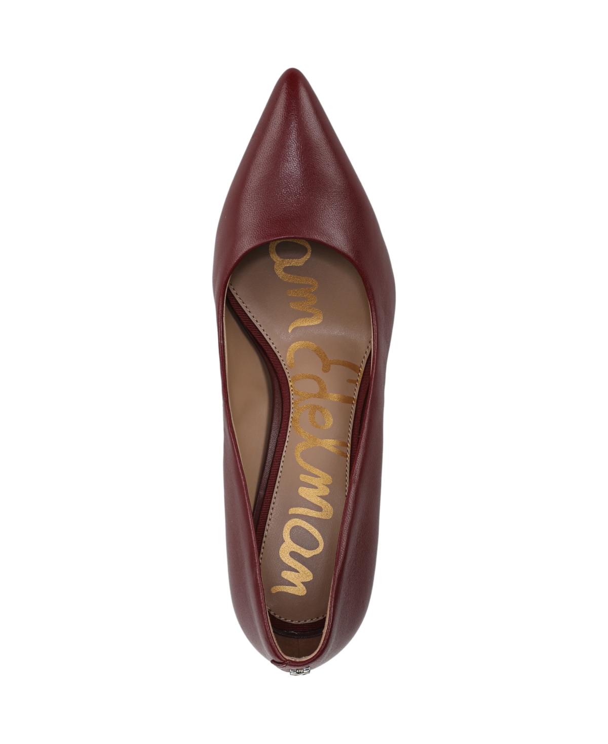Sam Edelman Vienna Pointed Toe Pump In Burgundy
