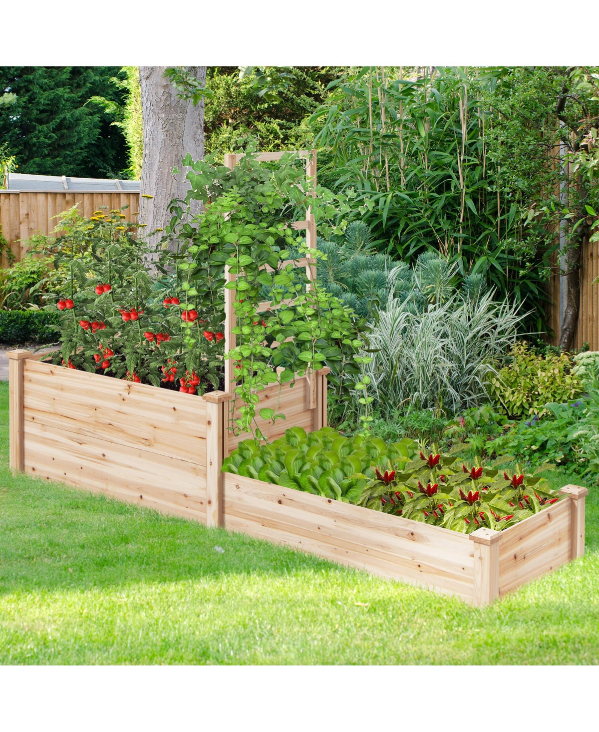 Gymax Raised Garden Bed w/ 2 Planter Boxes & Trellis Outdoor Wooden Planter Box Kit for Sapling