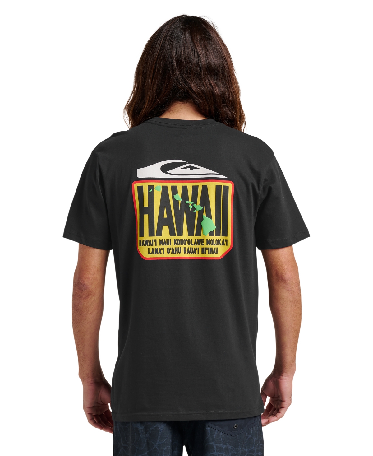Quiksilver Men's Hi Hawaii Crest T-shirt In Black