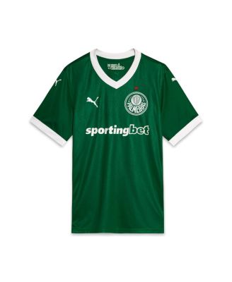 Men's Green SE Palmeiras 2025/26 Replica Home Jersey
