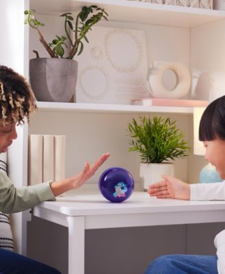 Hamster Ball Interactive Toy