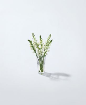 Herald 10" Vase, Macy's Exclusive