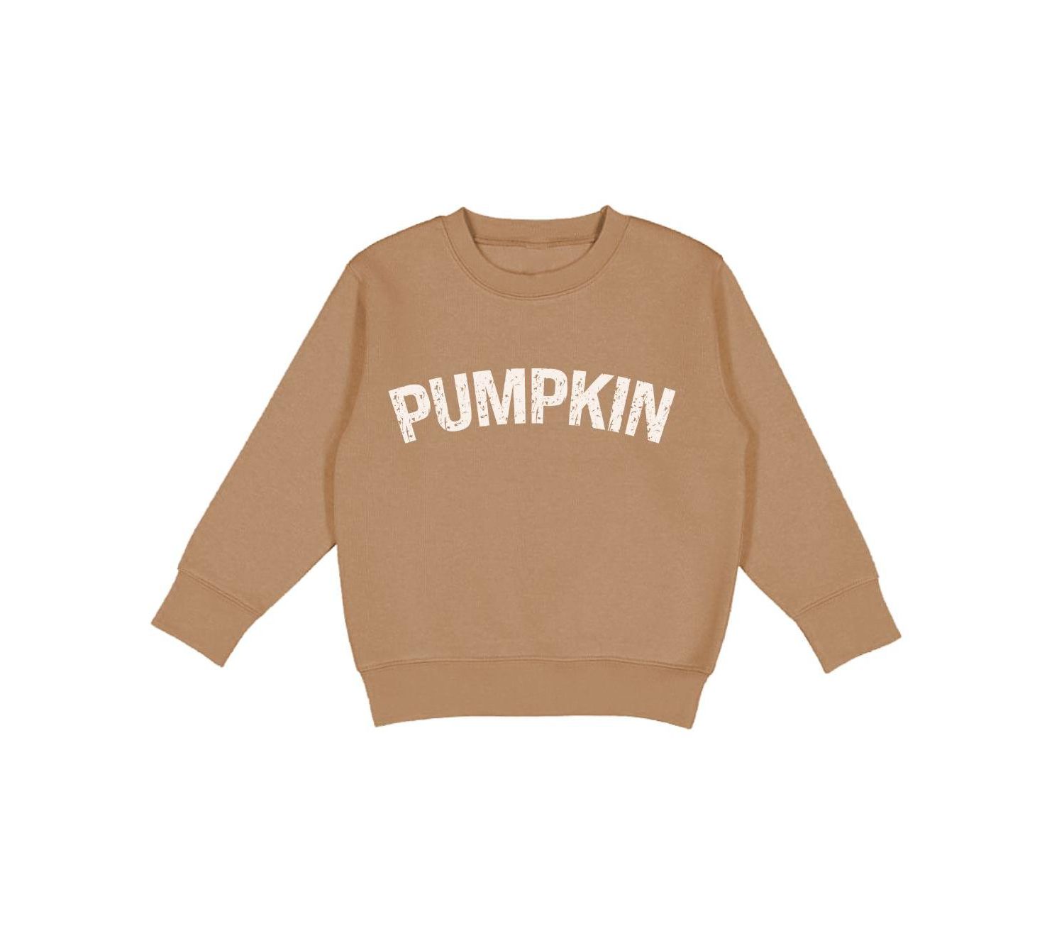 Little and Big Boys Pumpkin Sweatshirt