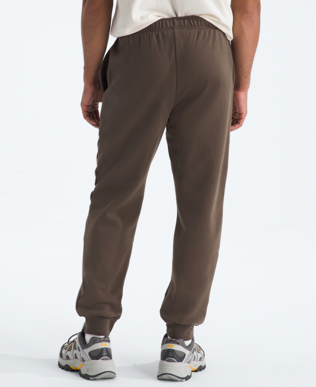 The North Face Men's Evolution Simple Dome Joggers In Brown