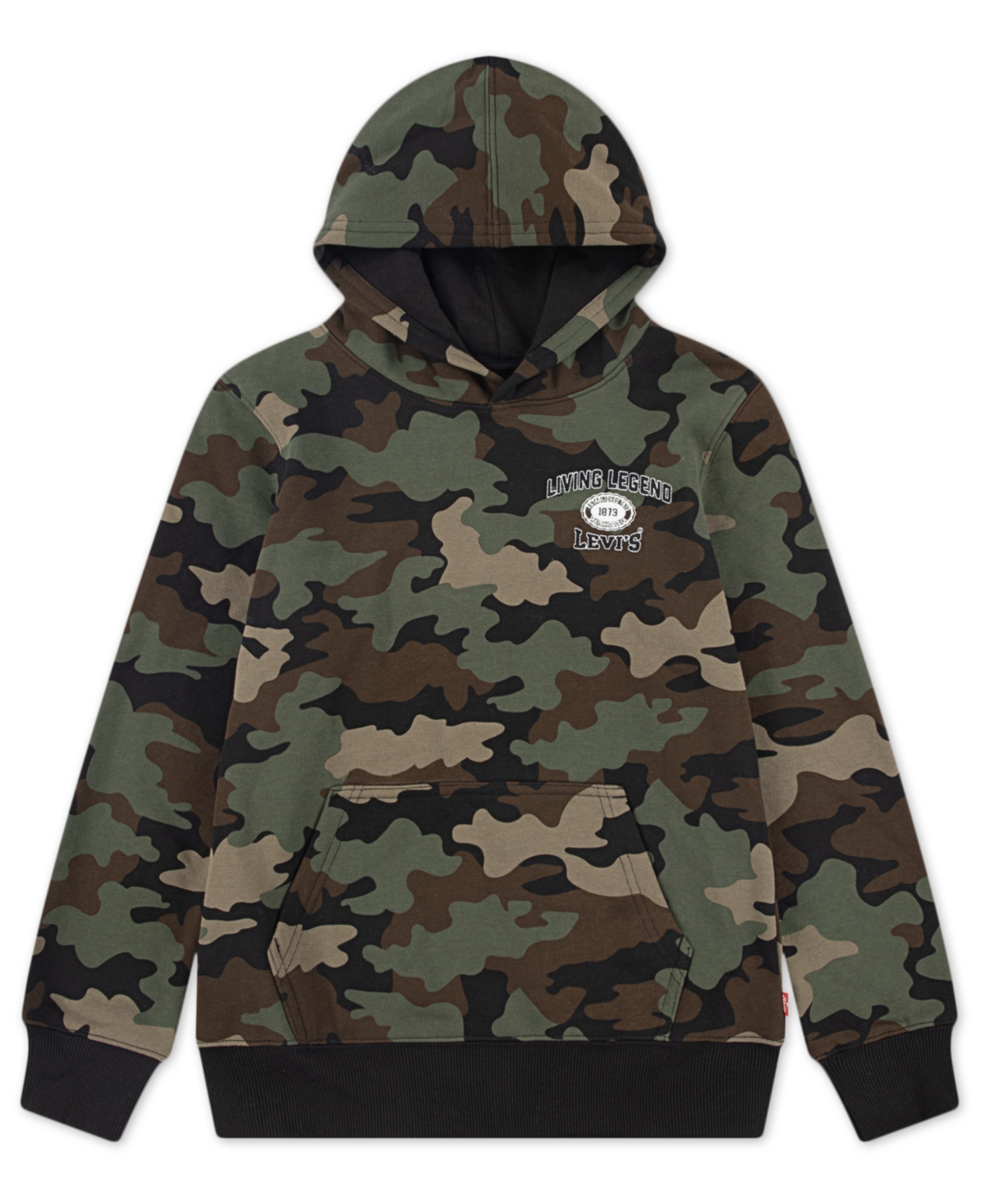 Levi's Kids' Boys 4-7 Camo Pullover Hoodie In Multi