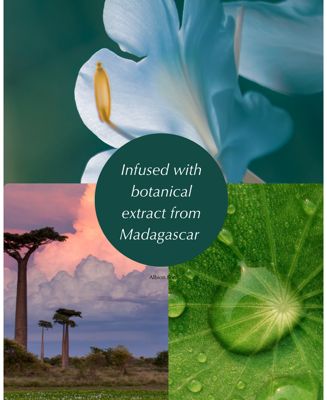 Excia Embeage Cream Parfait