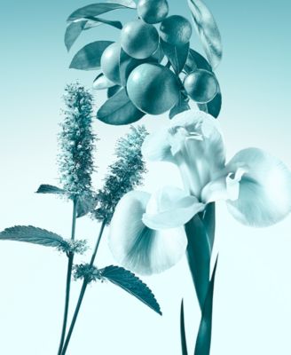 3-Pc. Eau de Parfum Holiday Gift Set