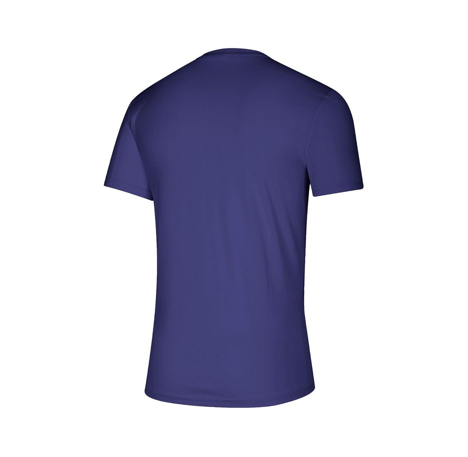 Men's Purple Washington Huskies B1G Time for the Dawgs T-Shirt