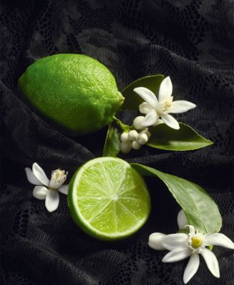 Sicily Re-Edition Fragrance, 3.3 oz