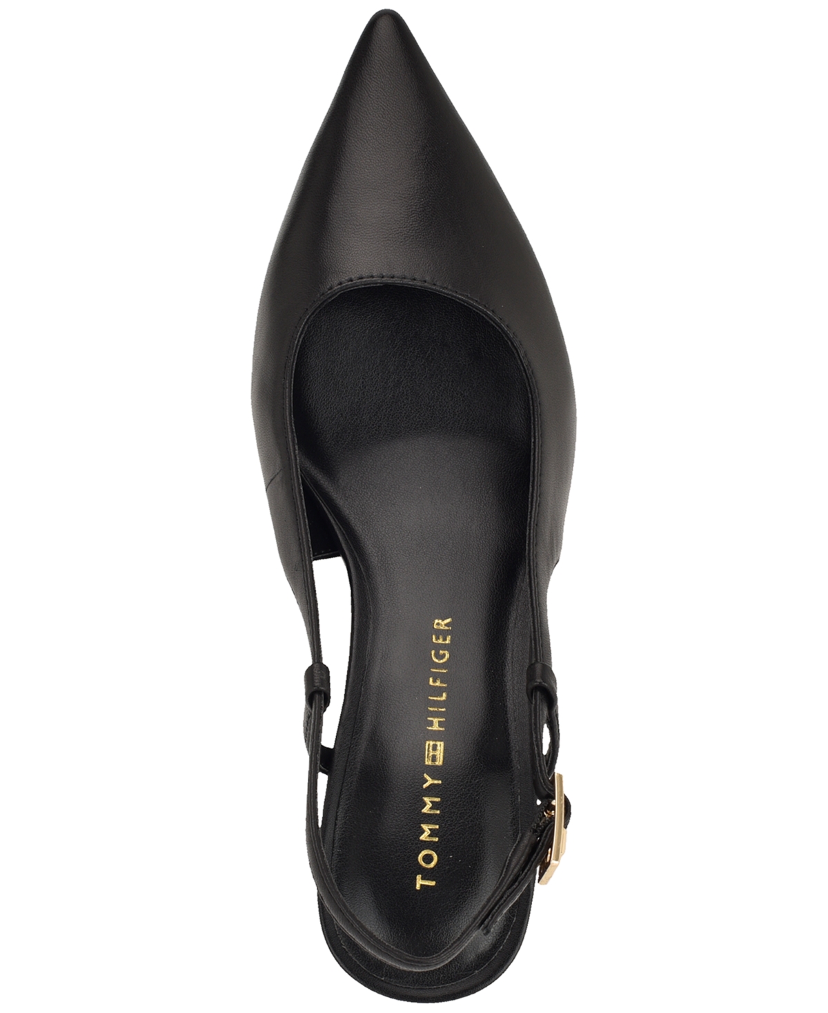 Tommy Hilfiger Women's Cerizza Pointed Toe Slingback Pump In Black