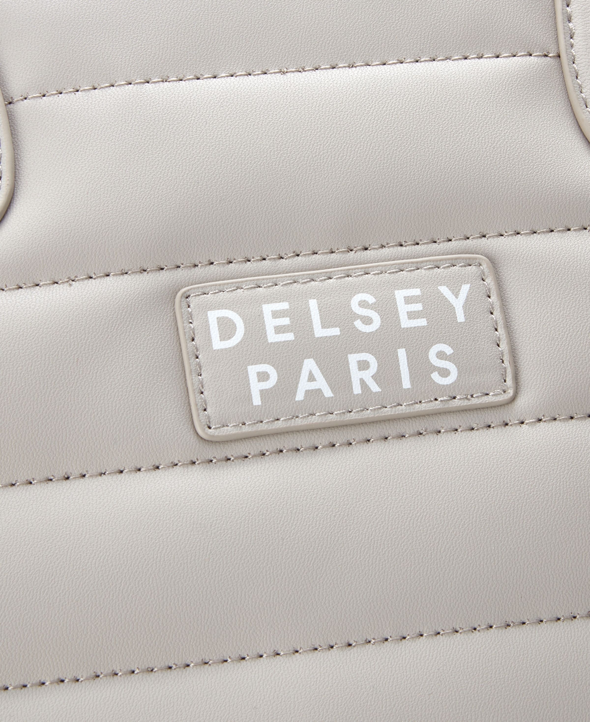 Delsey Paris Cruise 3.0 Tote Bag In Brown
