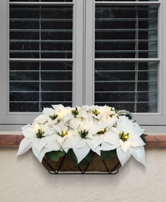Puleo 24" Pre-Lit Artificial White Poinsettia Window Box D&eacute;cor