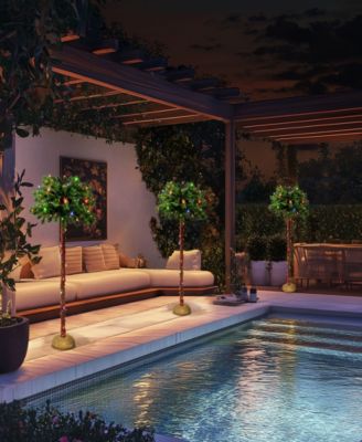 Puleo 4' Pre-Lit Artificial Palm Tree with Multi-Color Lights