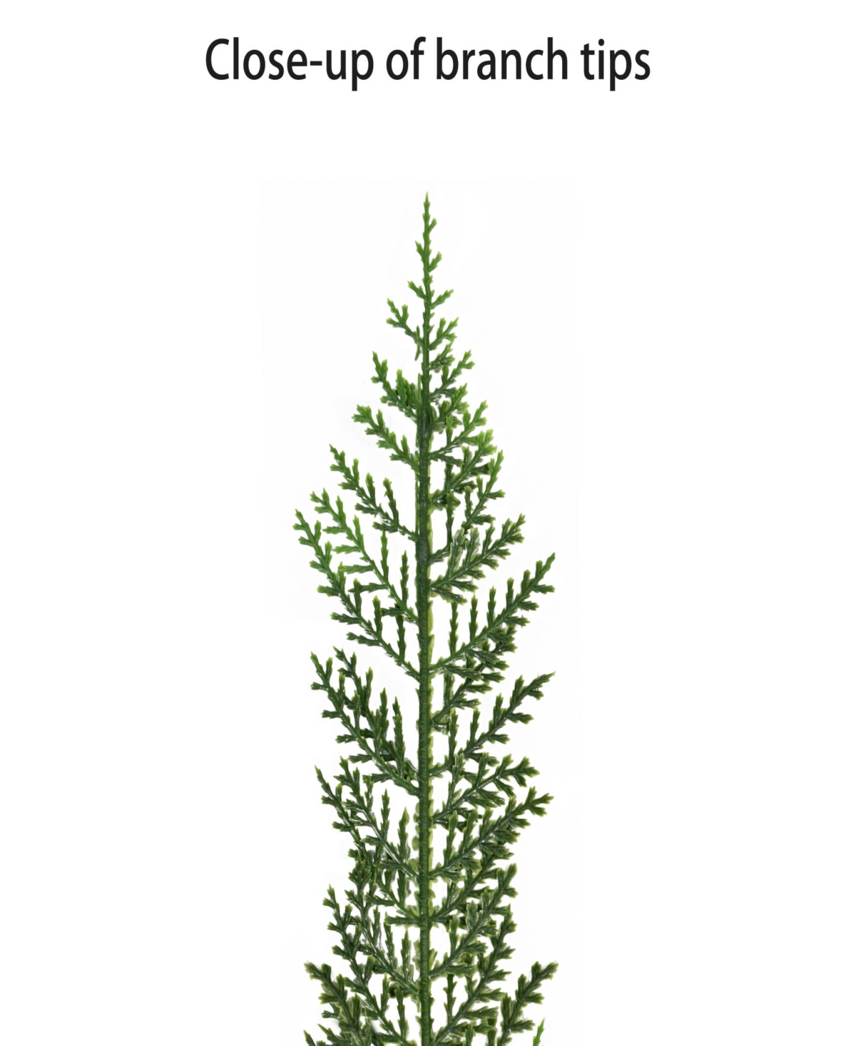 Puleo 9' X 10" Pre-lit Battery-operated Cedar Garland In Green