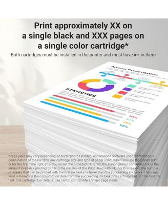 2 Pack PFI-300 14.4ml 10 Color Ink Pack