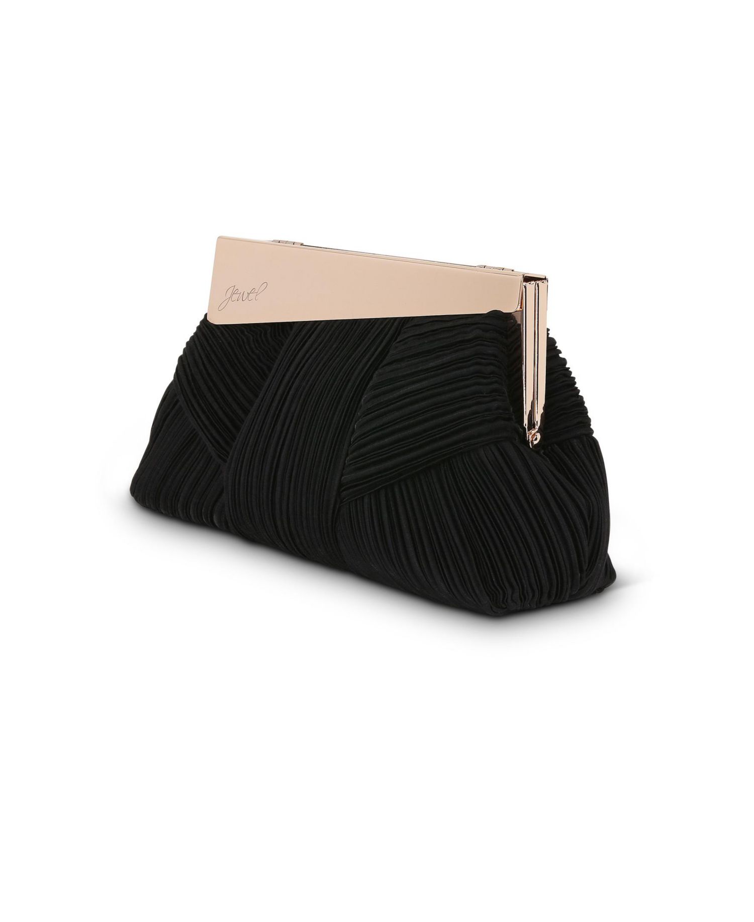 Woman's Millie Signature Frame Mini Pleated Satin Pouch