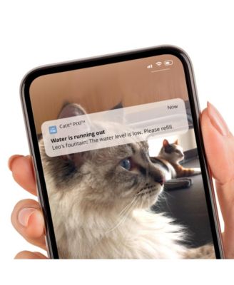 Pixi Smart Drinking Fountain, Stainless Top