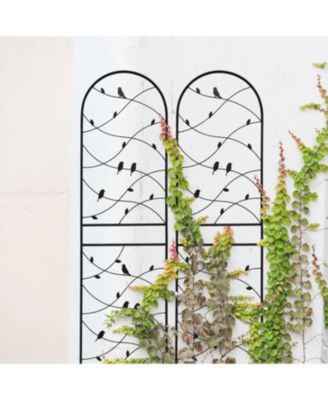 2 Pack 71" Metal Garden Trellis - Climbing Plant Support