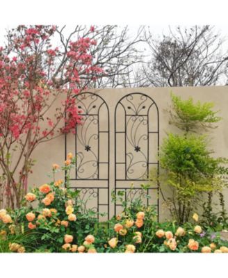 Streamdale 2-Pack Metal Garden Trellis, 86,7" Rustproof, Peacock Style, Black