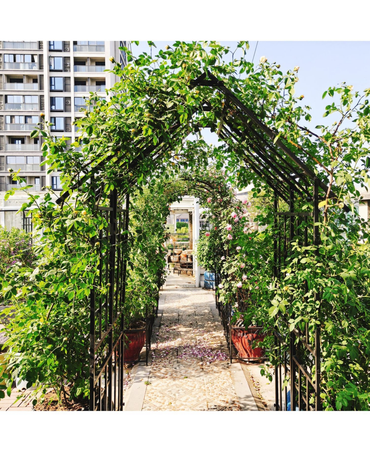 Streamdale Furniture Metal Garden Arch with Gate Black