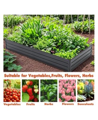 Galvanized Raised Garden Bed - 8x4x1 ft