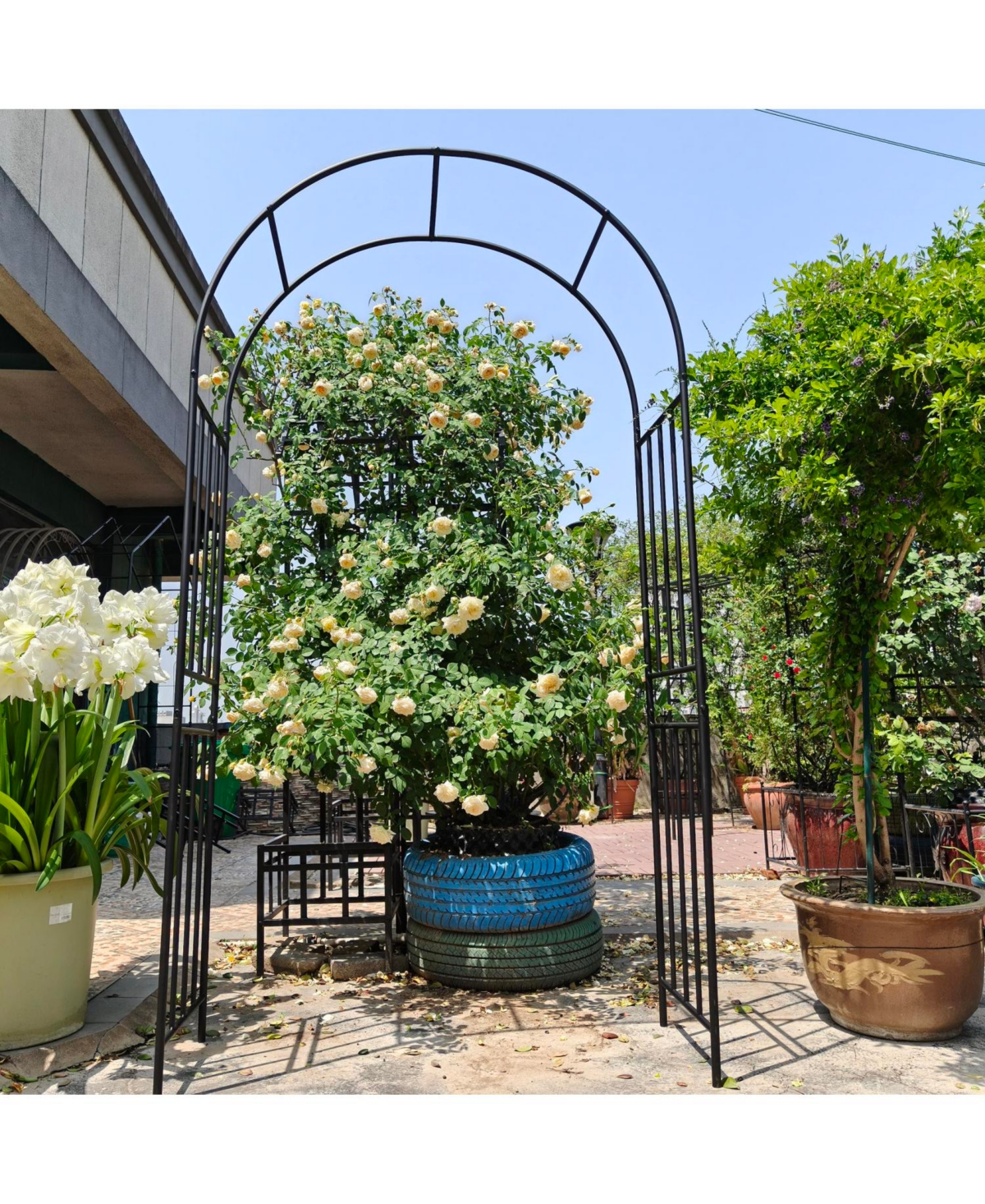 Streamdale Furniture Streamdale Metal Garden Arch, Climbing Plant Support, Outdoor Black