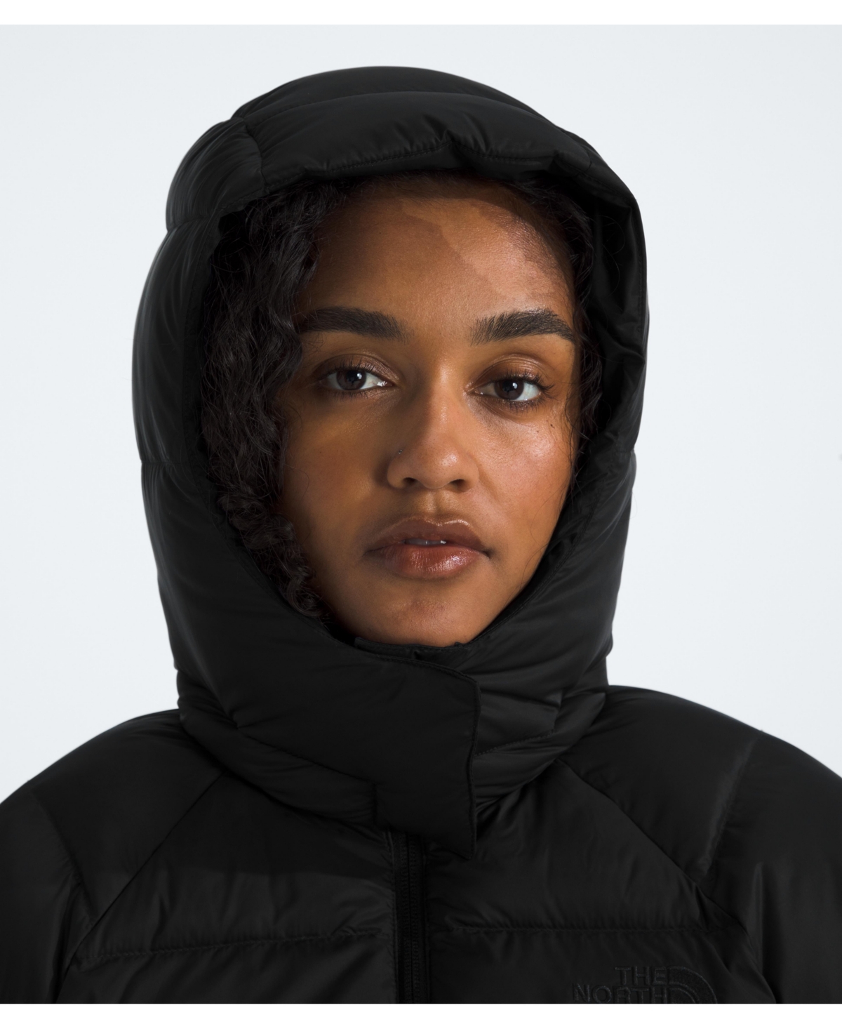The North Face Hydrenalite City Down Hooded Parka In Black