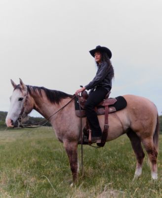 Women's Casual Classic Mid Rise Bootcut Jeans