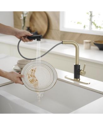 2 Sprayer Single Hole Single-Handle Pull Out Kitchen Faucet in Matte Black and Brushed Gold