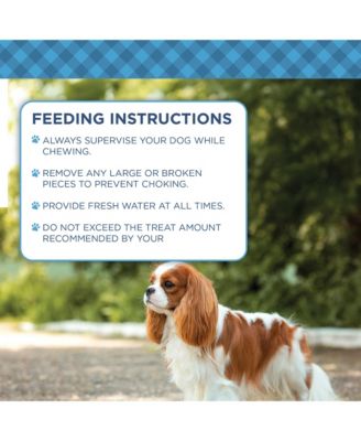 4” x 4” Beef Cheek Chip Dog Treats – Chicken Flavor – 5 Count Bag – All-Natural, High-Protein, Long-Lasting Dog Chews