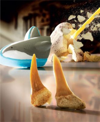 Shark Teeth Unearthed Excavation Kit 2-Pack