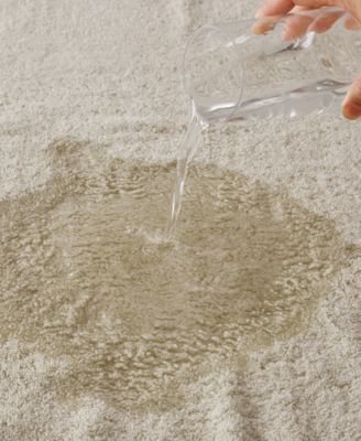 Ultra-Soft Cotton Absorbent 8-Pc. Towel Set