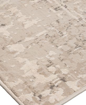 Alloy ALL343 4'x6' Area Rug
