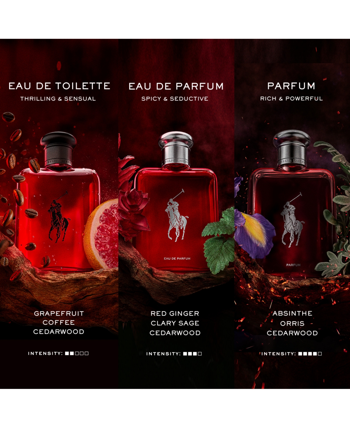 Ralph Lauren 2-pc. Polo Red Parfum And Backpack Set In Transparent
