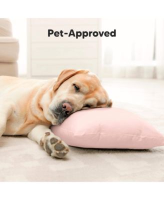 Jumbo Toddler Pillow with Pillowcase, 14X20 Soft Toddler Pillows for Sleeping, Kids Travel Pillow