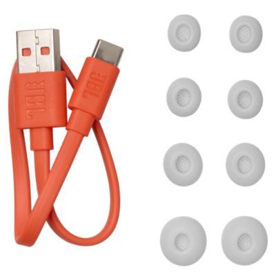 Live Beam 3 True Wireless Noise-Cancelling Closed-Stick Earbuds