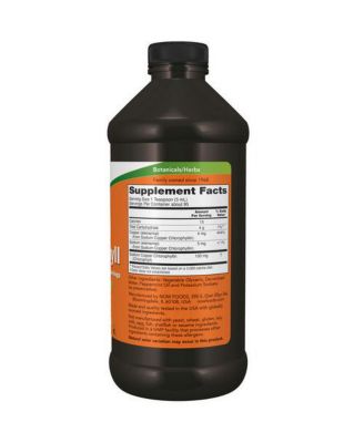 Chlorophyll & Mint ,16 OZ