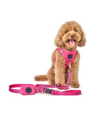 3-in-1 City Dog Leash