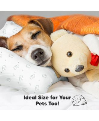 2pk Toddler Pillow, Soft Organic Cotton Toddler Pillows for Sleeping, 13X18 Kids Pillow