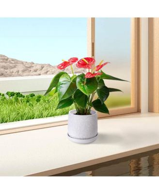 Set of 2 Modern Ceramic Planter Pots