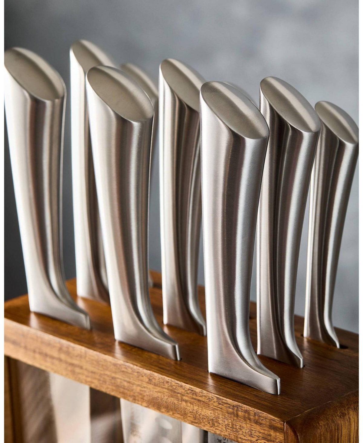 Cuisine::pro Damashiro Hiryu 10-pc. Knife Block Set In Silver