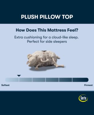 Perfect Sleeper Iceland Poppy 14" Plush Pillow Top Mattress, Twin